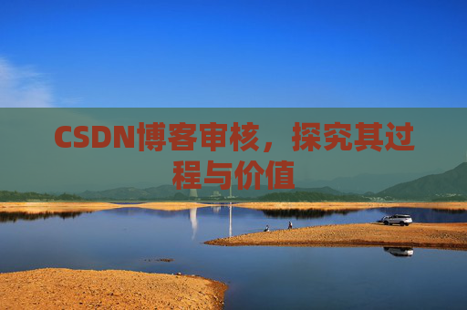 CSDN博客审核，探究其过程与价值